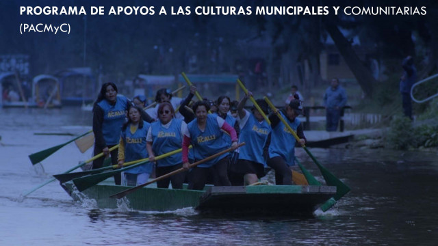 pacmyc1.jpg